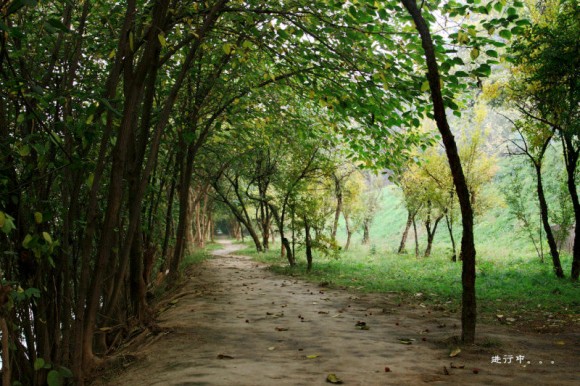 护城河边的秋！