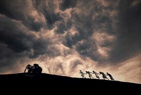 加拿大艺术家Gregory Colbert的摄影作品