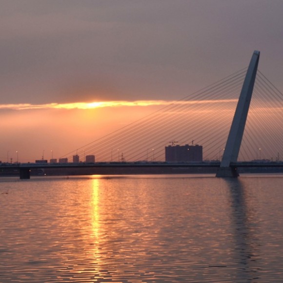 忍不住啊，再拍斜拉桥