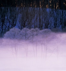 拍雪景的经验 竹内敏信风光讲坛10