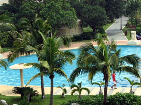 仙人掌的人工游泳池