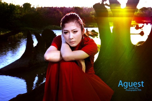 海鸥岛人像活动