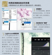 光绘+后期——多彩的林间晨雾