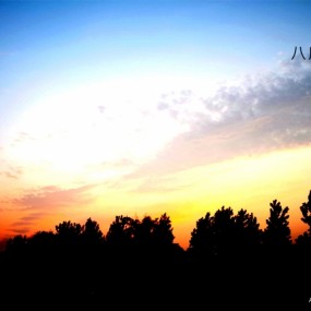 【八月·世园】（初学开门贴，恳请各位前辈指教）