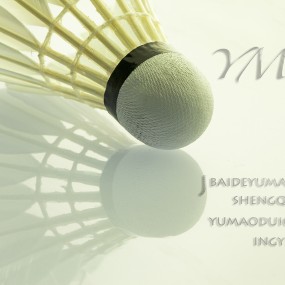 羽毛对球的情怀