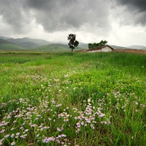 闭眼缄默镜头里的青海