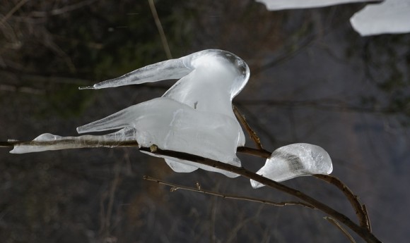 玉兔辞旧 龙凤呈祥—— 黑山岔拍摄
