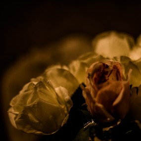 凡多姆海威庄园-5P