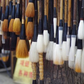 一组闲逛杂拍片子