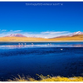 南美-盐湖-火烈鸟-航海王基德