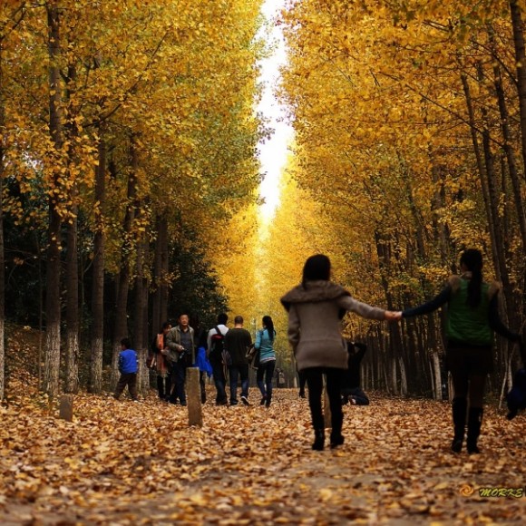 【秋日杜陵】之（风光篇）