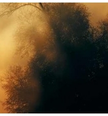 雾凇，冬日里的风景