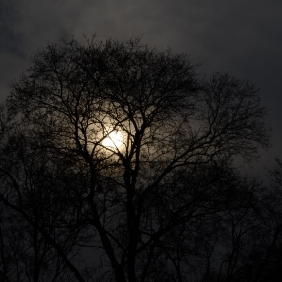 新人新帖，欢迎拍砖