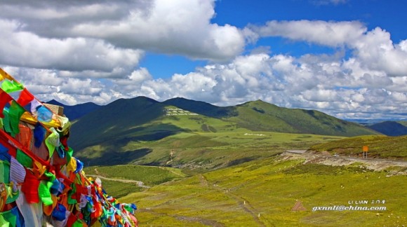 康定情歌-川藏G318