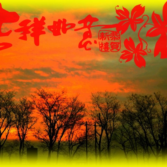 不会拍，不会PS