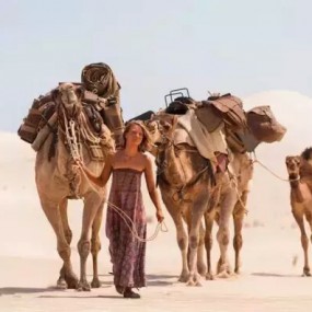 4只骆驼，一只狗，横穿澳大利亚沙漠。