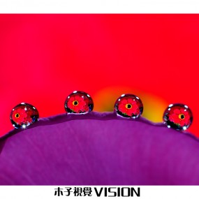 水中花（微距）