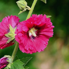 丰峪王家沟纳凉杂拍。万像更新2012.6.23