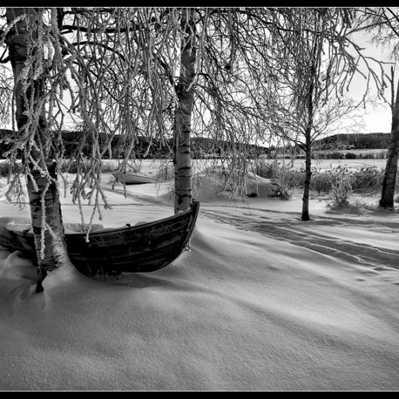 Black white landscape (11)