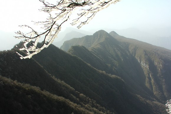 海---------太平洋！！！