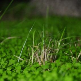 来自地表的浪漫——行者心途