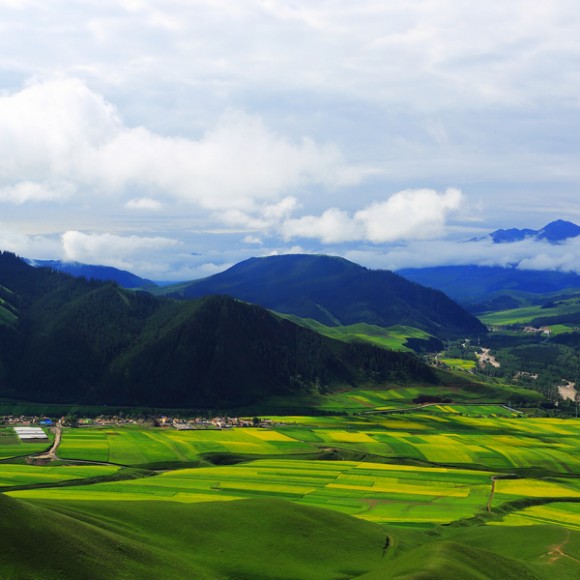 大美青海之祁连