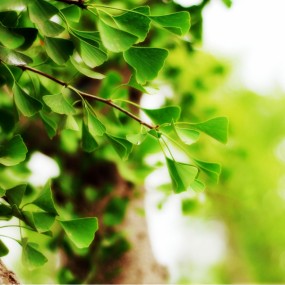 感受春天的气息