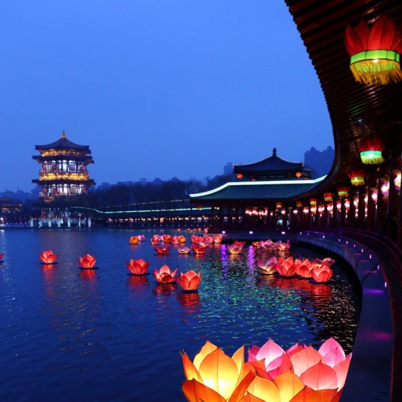 灯展烟花夜景----美不胜收