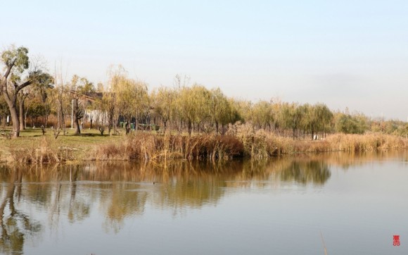 晚秋（四）世园秋色