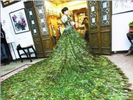 谁会为你穿上这席白纱~~