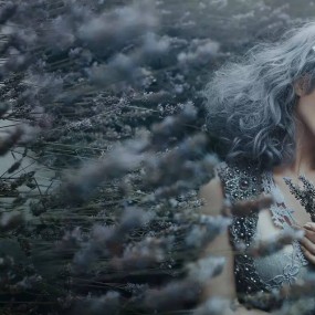 她把每个女人拍得像花中精灵，梦中天使。太赞了