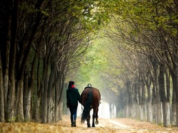 《等待，旅途》，属于我的那片森林