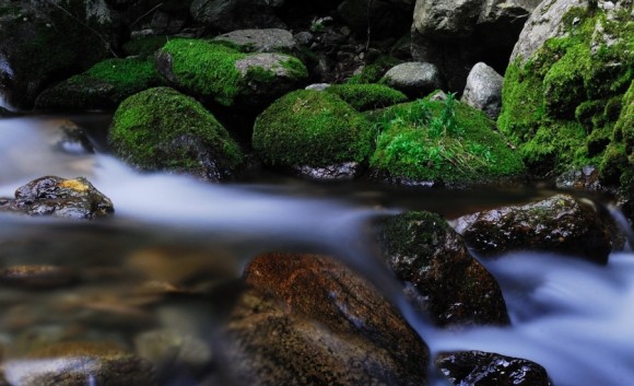 利美摄影 一组水片