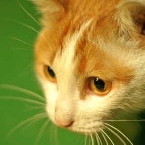 12月12日光圈club的小作业