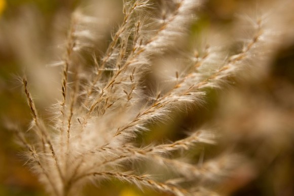 新人报道！11月1日的杜陵