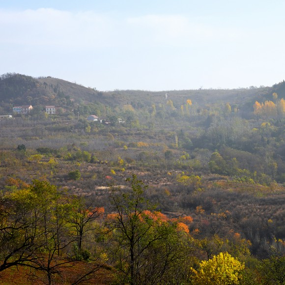 洪庆山的秋色（2）