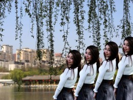 柳丝长  美女靓