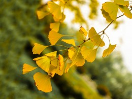 展现最后的风采