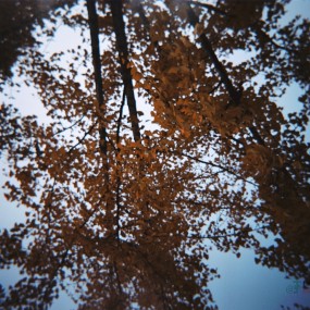 【原创】来几张lomo风格的片子.