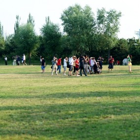 记一次和鸟鸟们的集拍