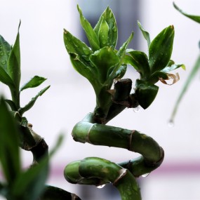 下雨天，拍几张。