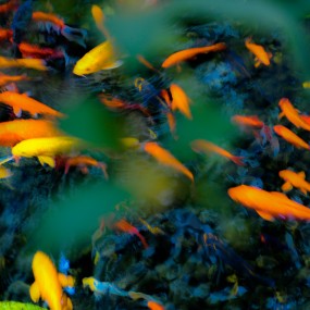 【欢愉图】-2016