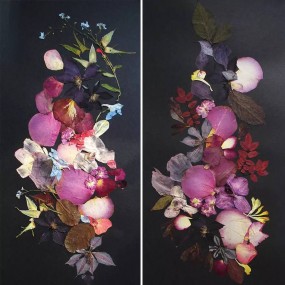 30种植物拼贴的艺术