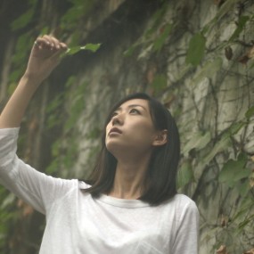 洒金桥活动对秋叶的思念