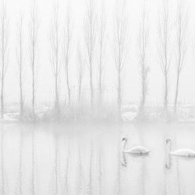 久违的草原冬雪----2014我的回乡之旅