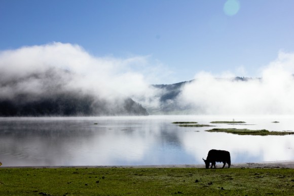 云南印象之普达措风光