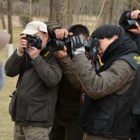 1.3 白桦林中的美女（花絮）