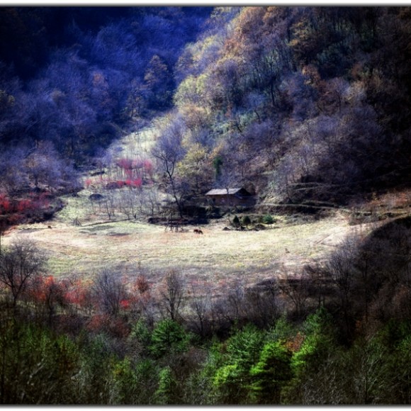 陕西九寨黄柏塬