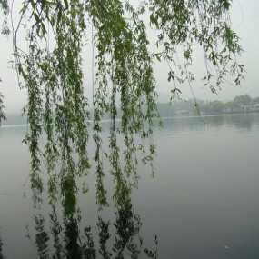 西湖-1