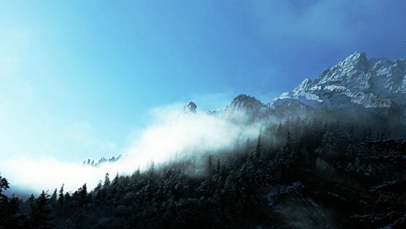 九寨沟——原始森林